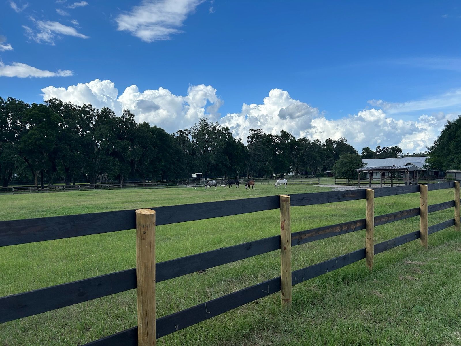 A wooden fence surrounds a grassy field with horses in the background.