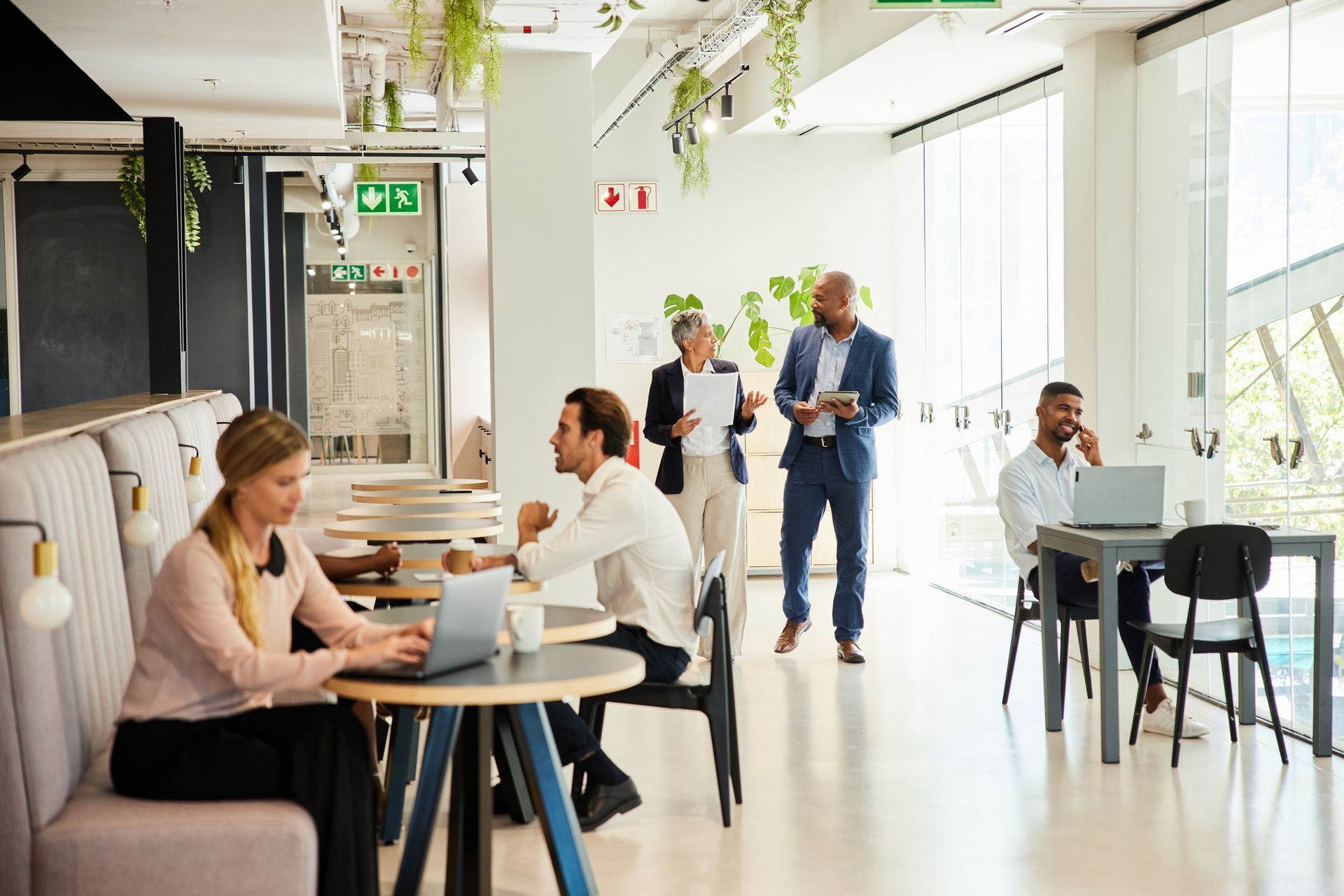 forniture alimentari