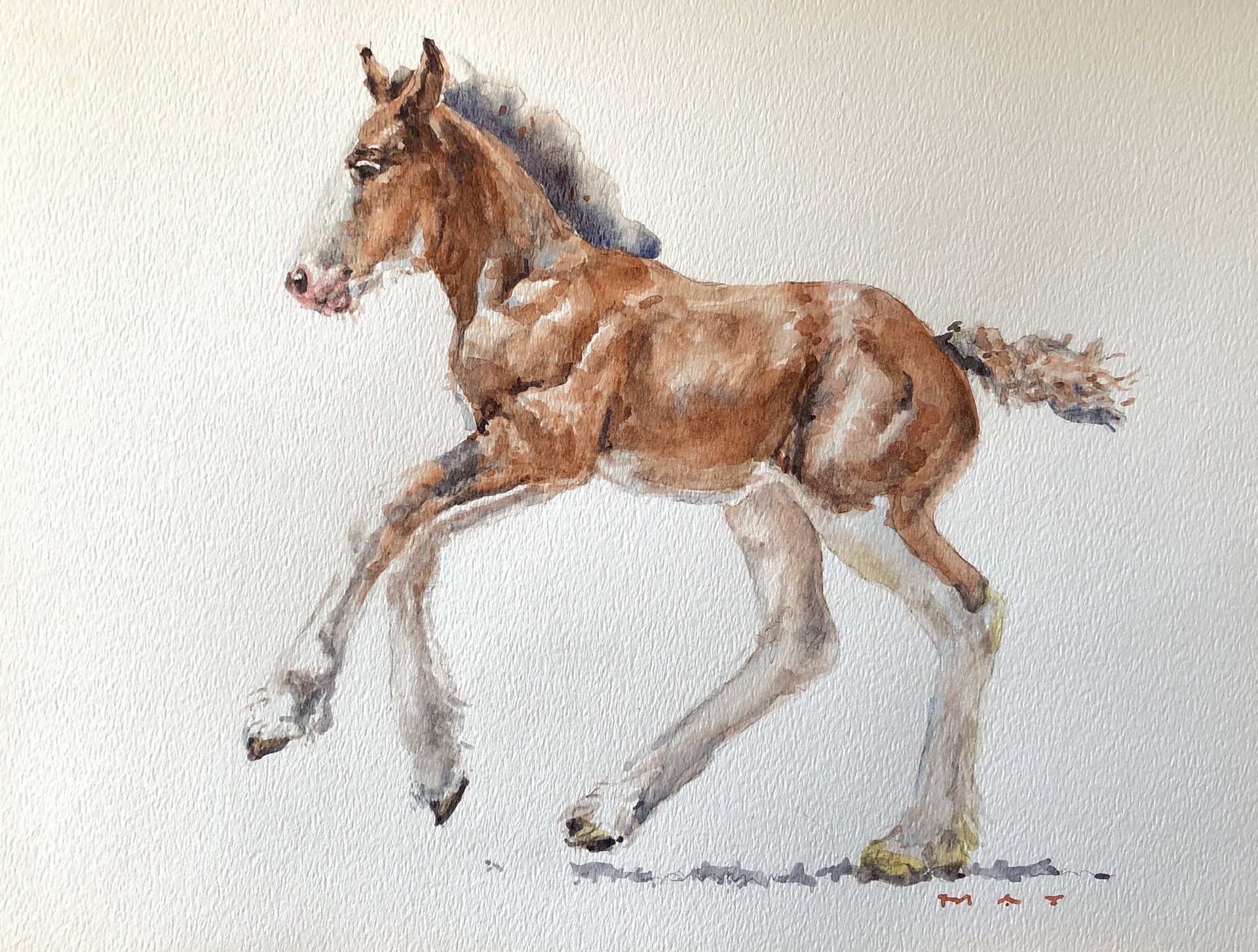A painting of a brown horse running on a white background.