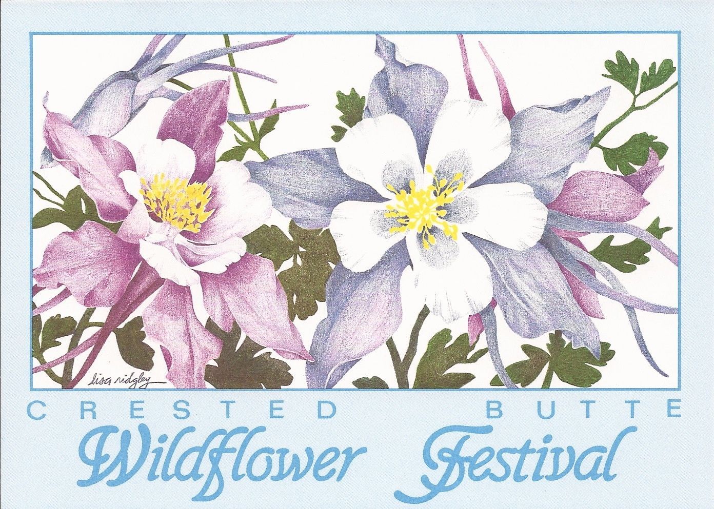 A poster for the crested butte wildflower festival