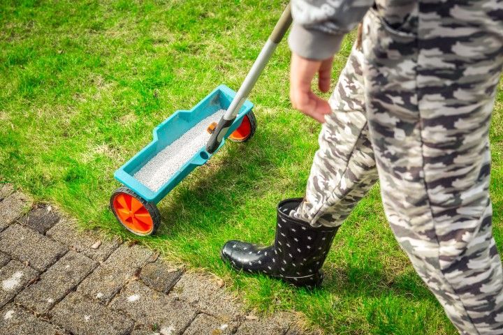 A person is spreading fertilizer on a lawn with a spreader.