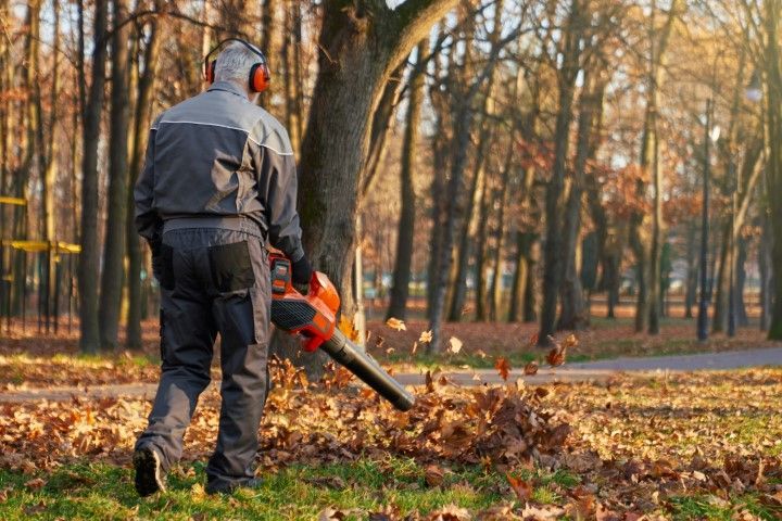 A man is blowing leaves in a park with a blower.