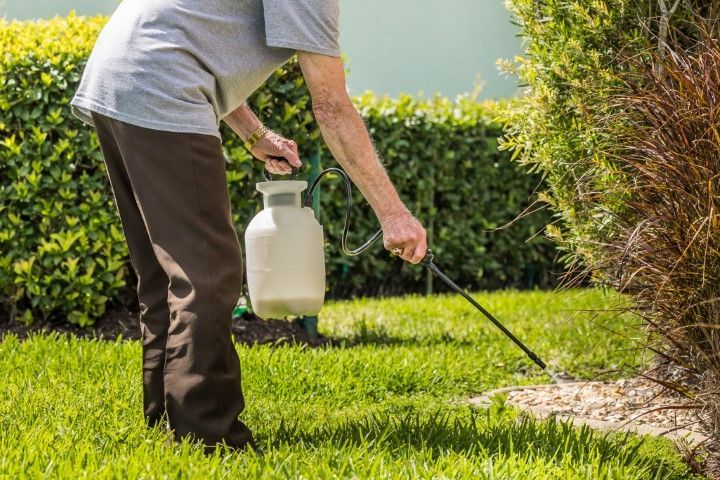 A man is spraying a bush with a sprayer on a lush green lawn.