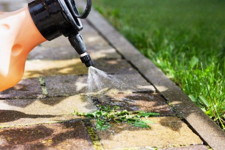 A person is spraying weeds on a sidewalk with a sprayer.