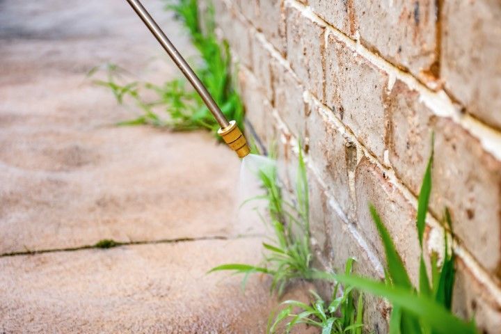 A person is spraying weeds on a brick wall.