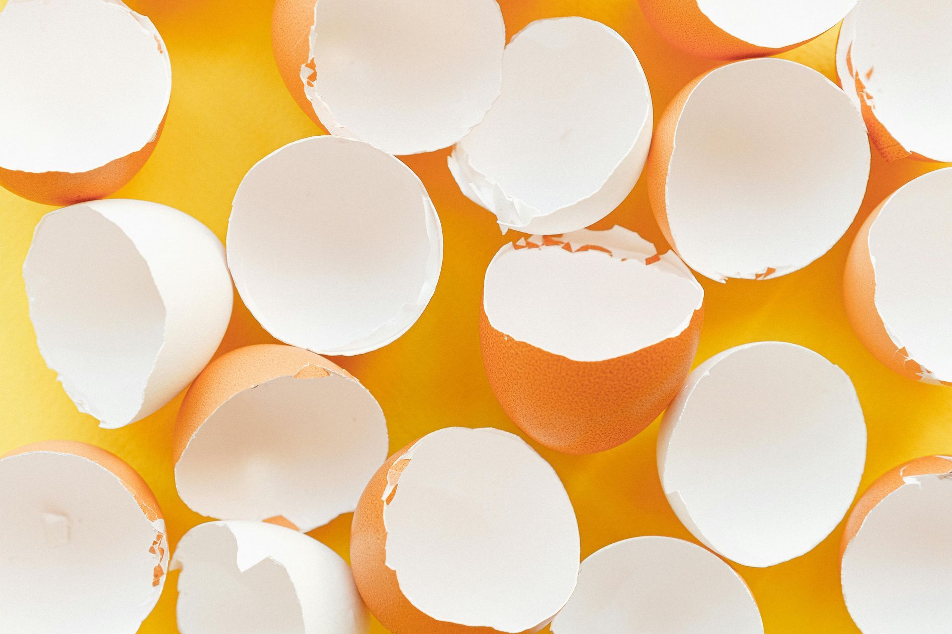 White eggshell halves scattered on a bright orange background