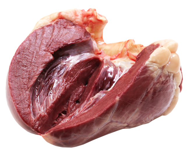 Dog bowl of ground beef with broccoli, diced potatoes, and chickpeas arranged in sections