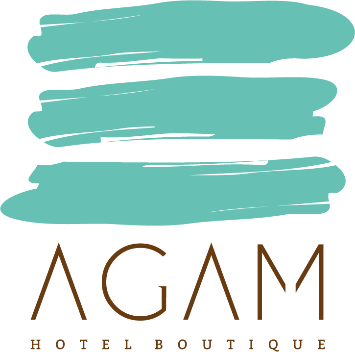 Logotipo de AGAM Hotel Boutique con tres pinceladas turquesas sobre el texto marrón