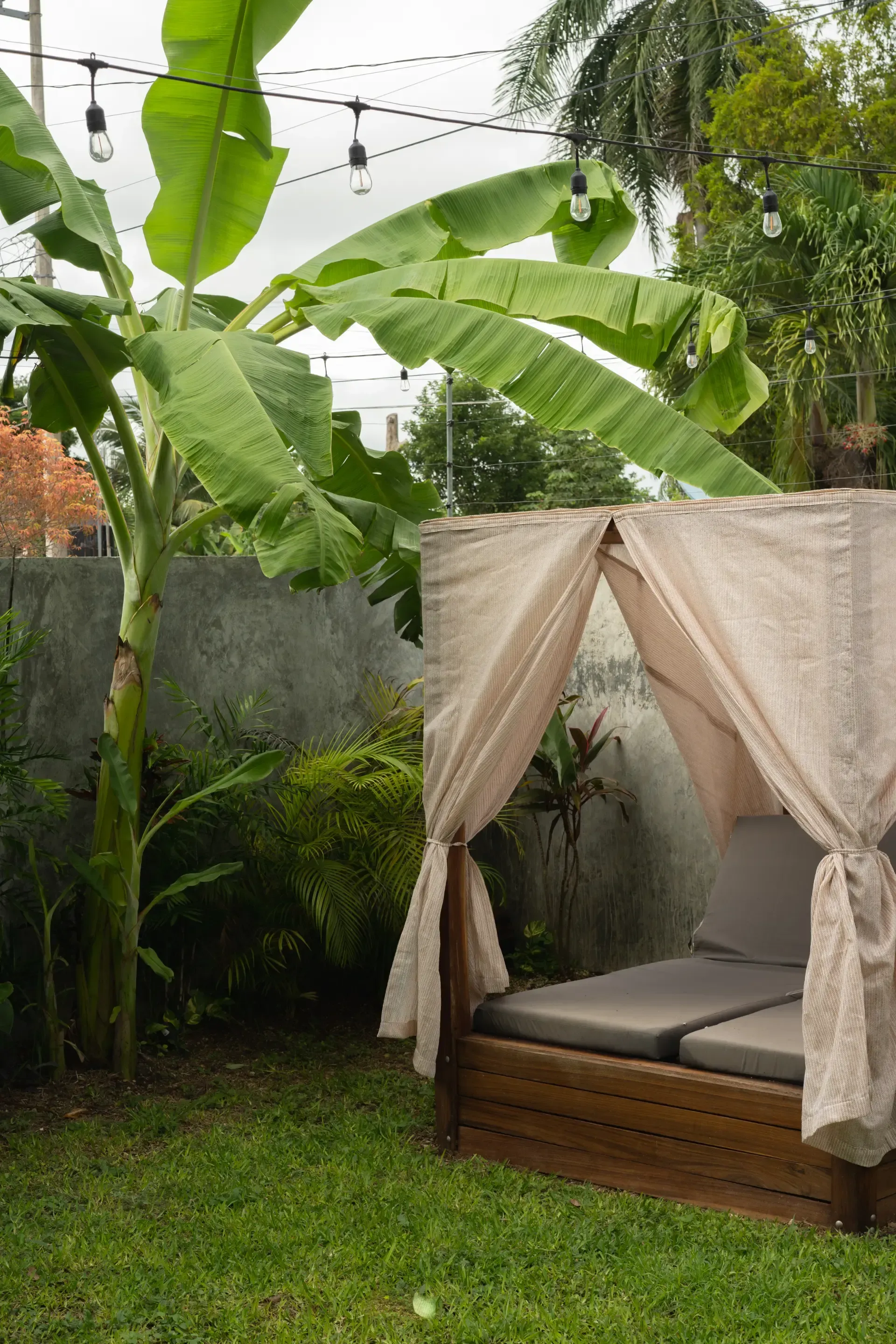 Tumbona de exterior con dosel y cojines de color tostado, en un exuberante jardín con un banano.