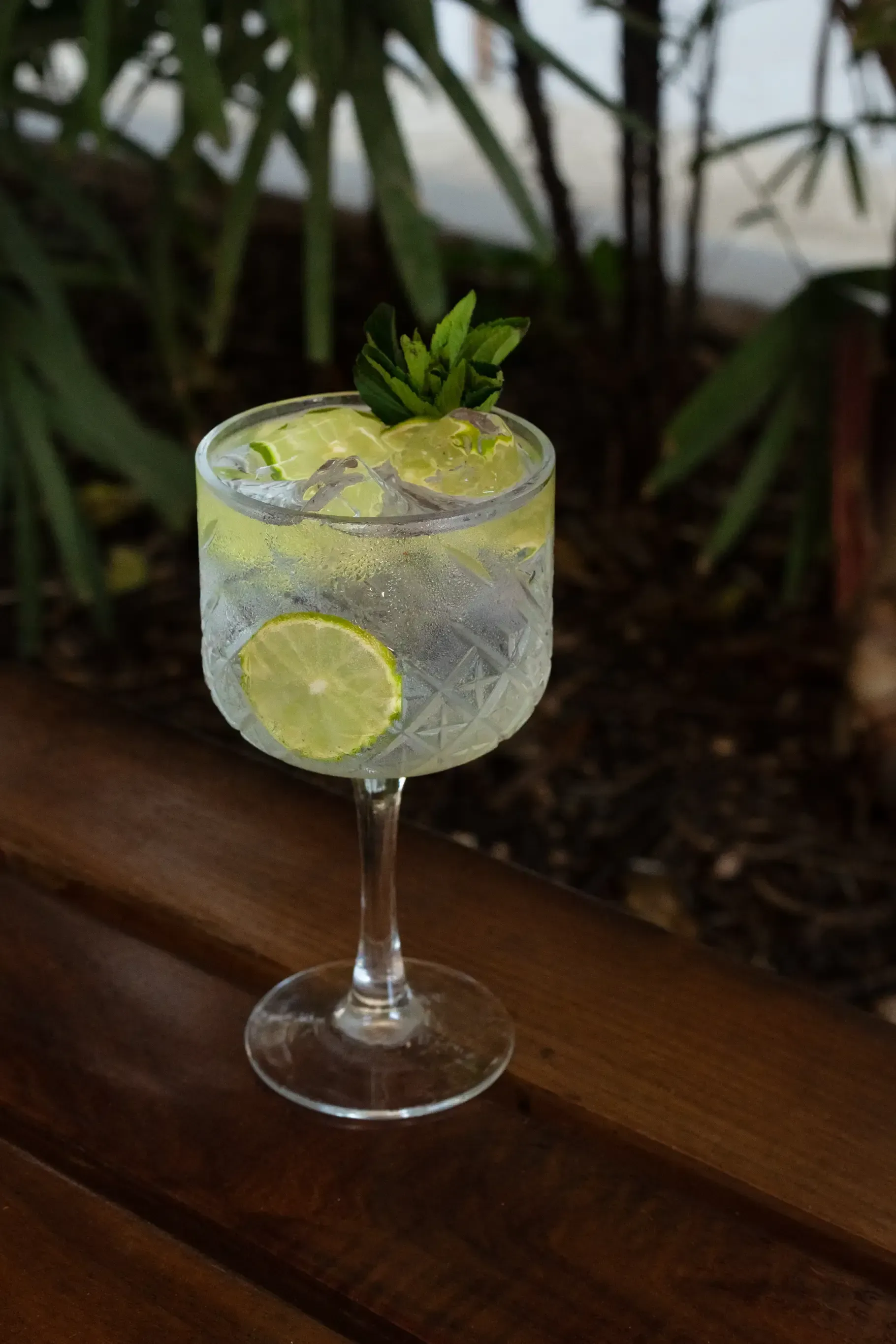 Cóctel en copa de tallo con rodajas de lima y ramitas de menta, sentado sobre una superficie de madera.