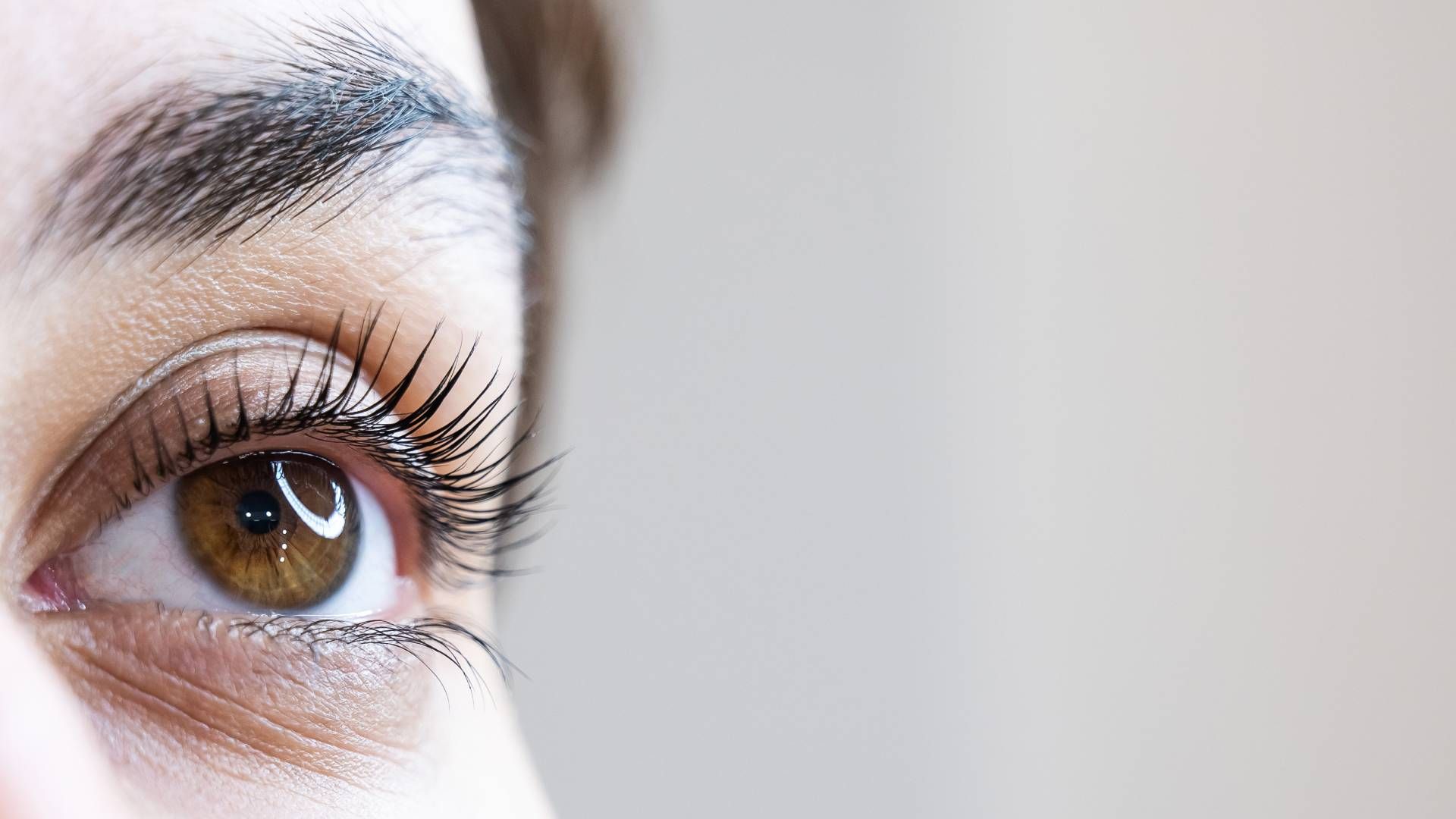 A closeup of a woman’s defined lashes after eyelash tinting near Lexington, Kentucky (KY)