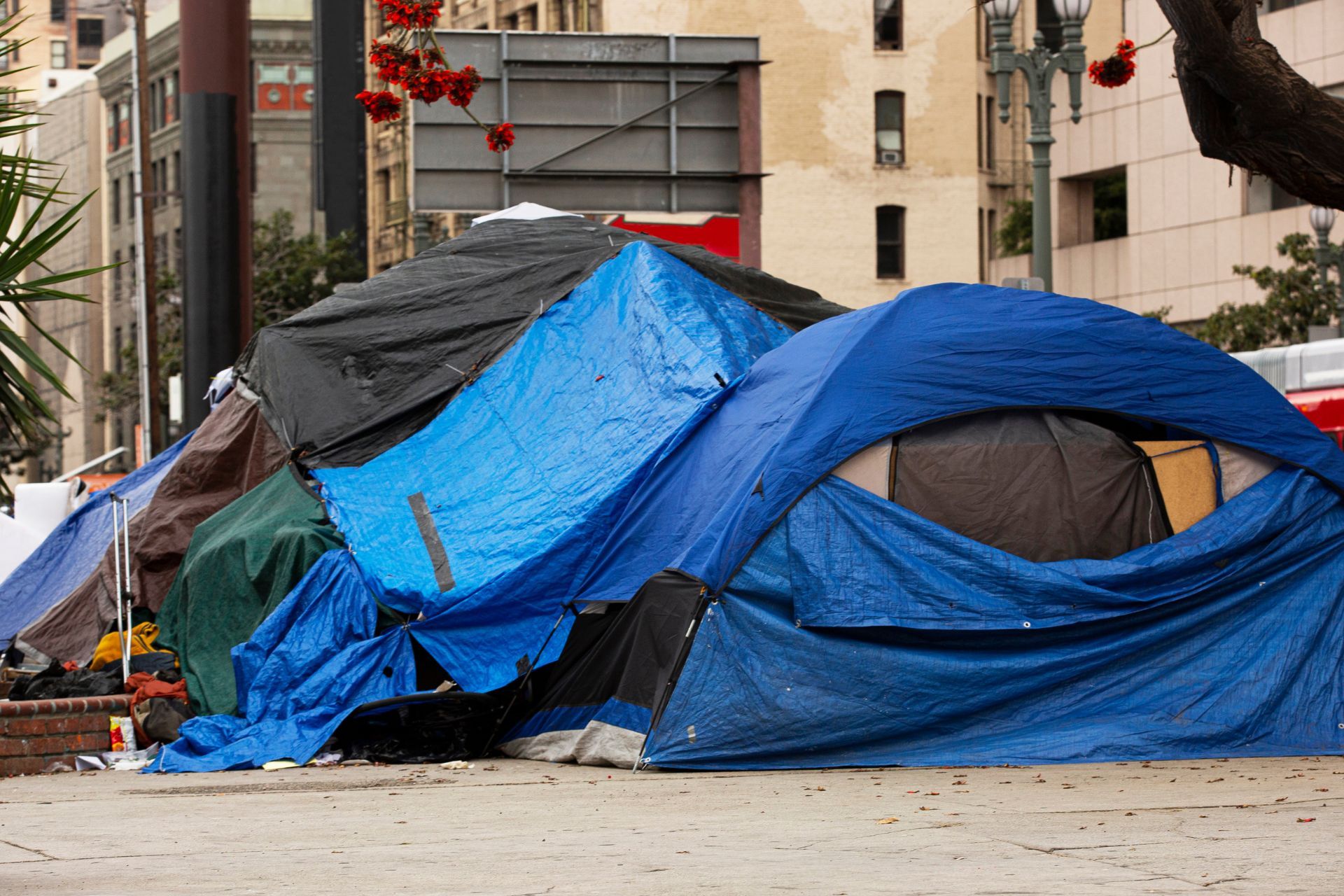 Tents in a city plaza. Blue, black, and green tarps shelter what appear to be homeless encampments in an urban setting.
