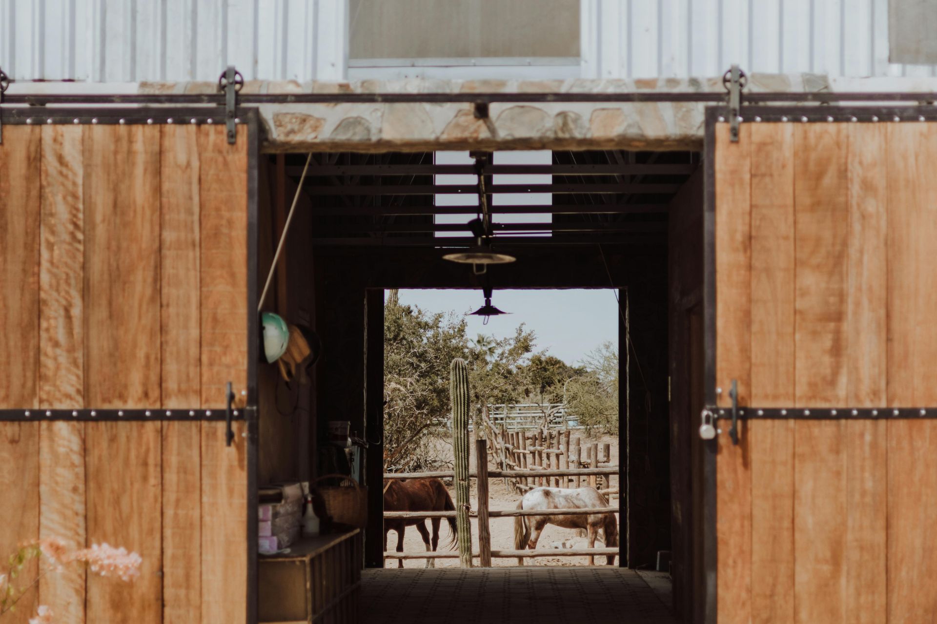 Wooden barn doors open to a sunny corral with horses.