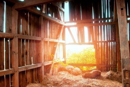 Pole Barn Cleanout & Removal
