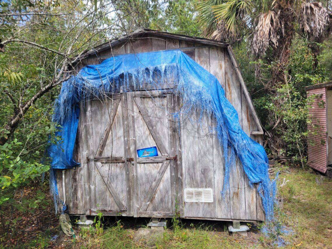 A wooden shed is covered in a blue tarp.