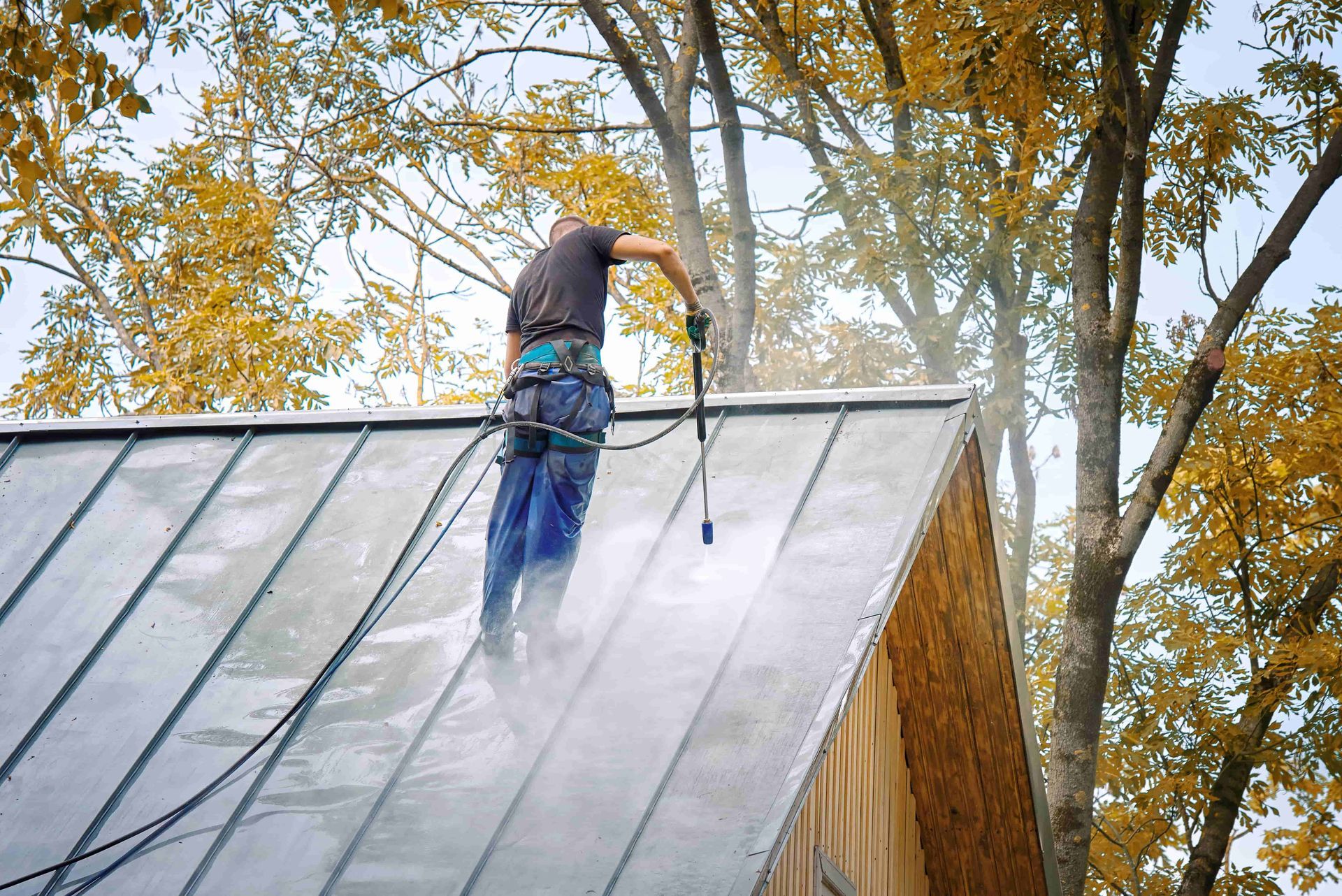 Person power washing a metal roof, trees with yellow leaves in background.