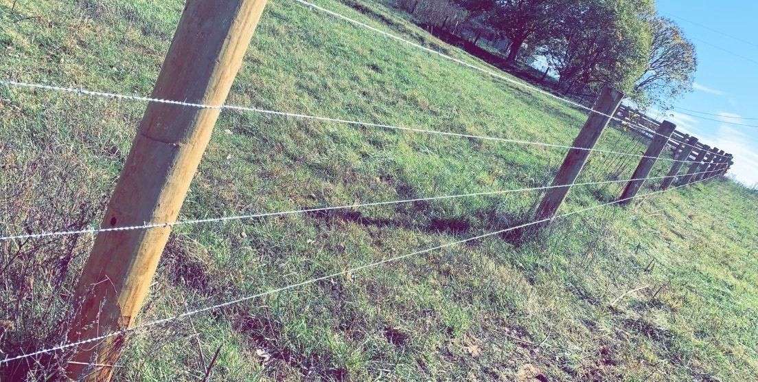 Barbed Wire Fence — Coxs Creek, KY — S&S Fencing and Property Maintenance LLC