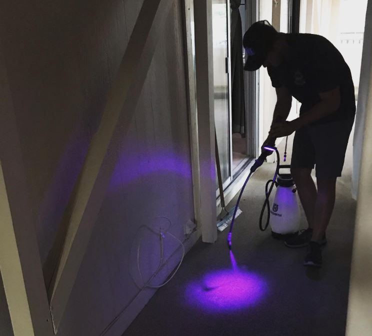 A man is spraying a purple liquid on the floor.