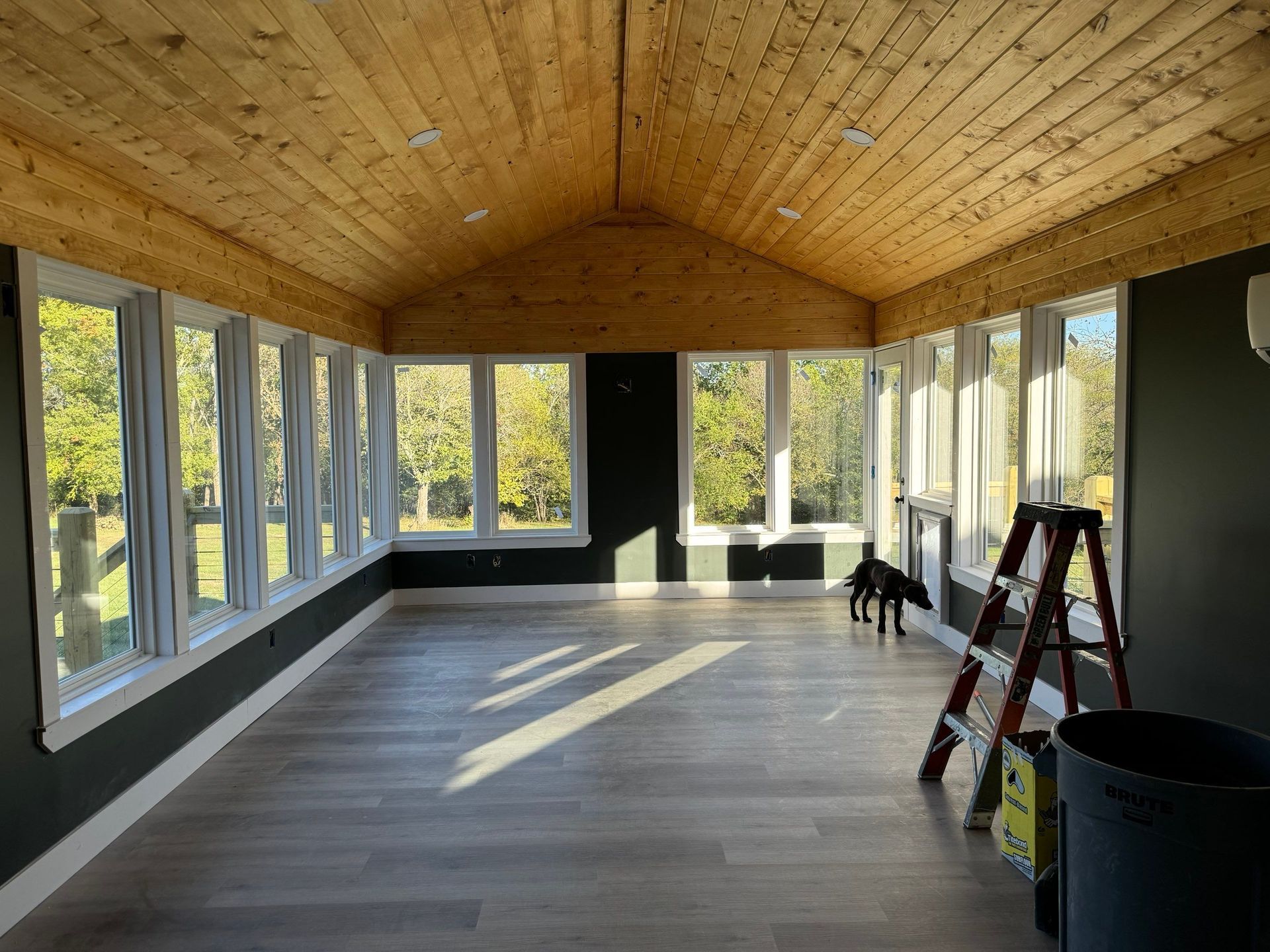 A dog is standing in a large room with lots of windows.