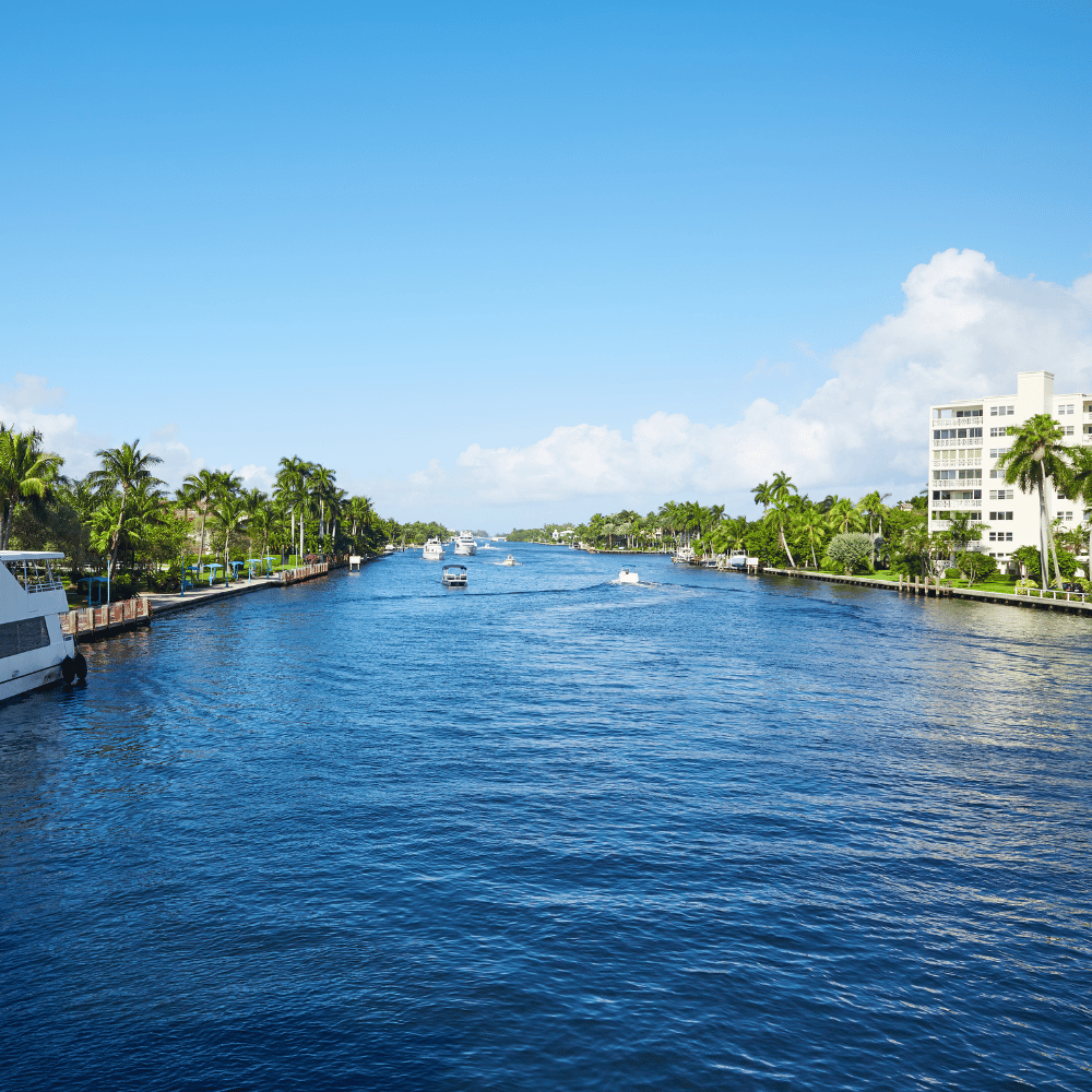 A large body of water surrounded by palm trees and buildings