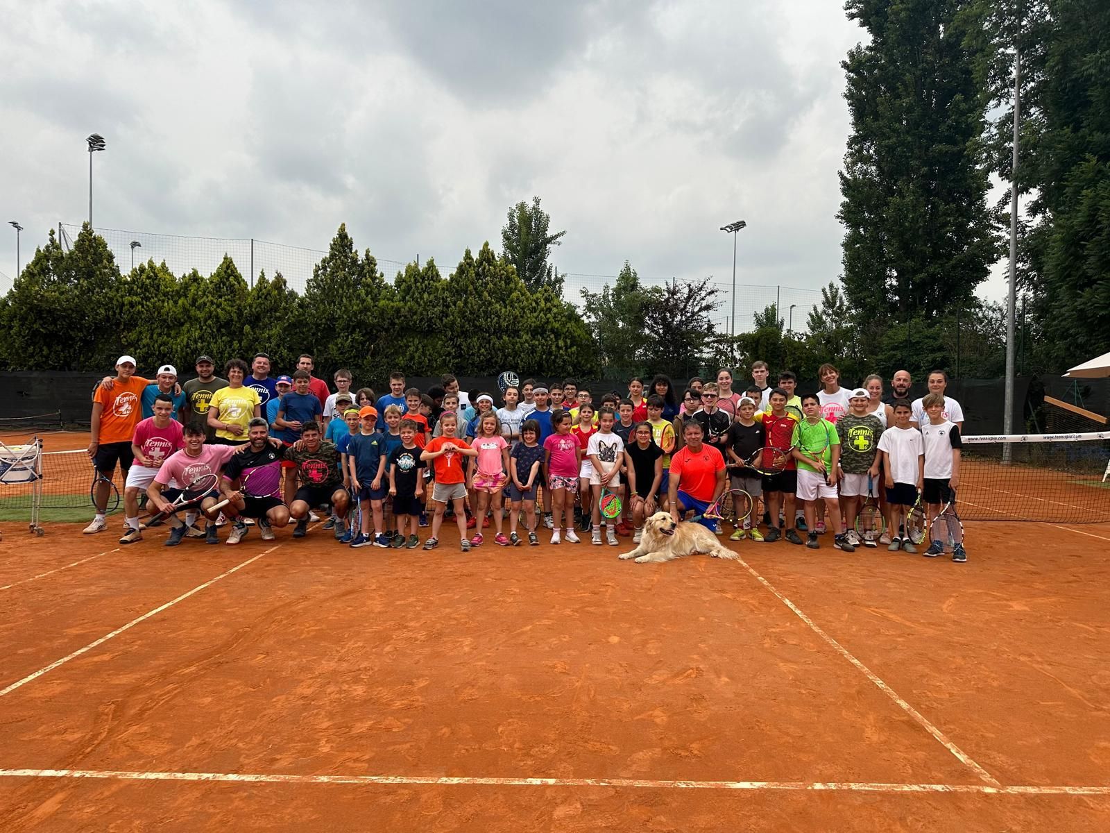 tennis+ galleria