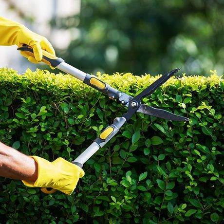 Gardener Trimming Hedge in Garden | West Linn, OR | Lawn With Care Property Service LLC