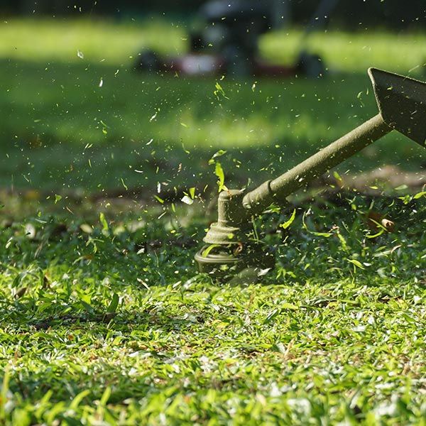 Lawn Grass Cutter | West Linn, OR | Lawn With Care Property Service LLC