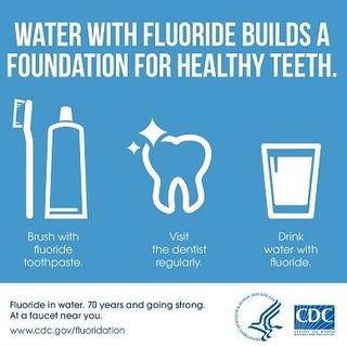 Fluoride — Dentist in Tampa, FL