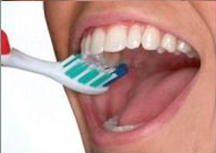 Step 2 of brushing your teeth — Dentist in Tampa, FL