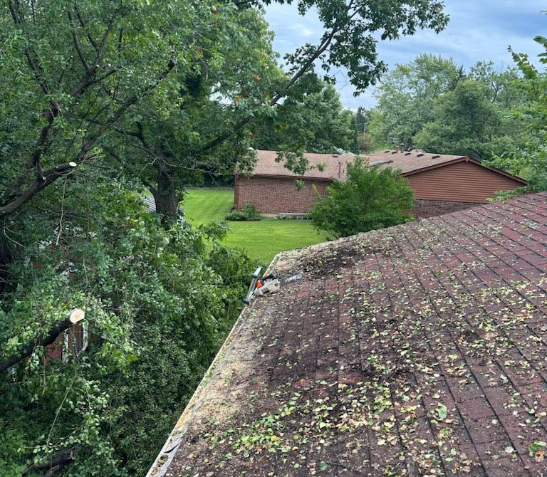 Cut branches on the roof - Waynesville, Ohio - Ideal Cut & Trim LLC