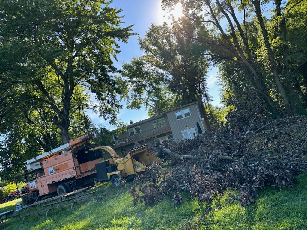 Clearing out tree branches - Waynesville, Ohio - Ideal Cut & Trim LLC