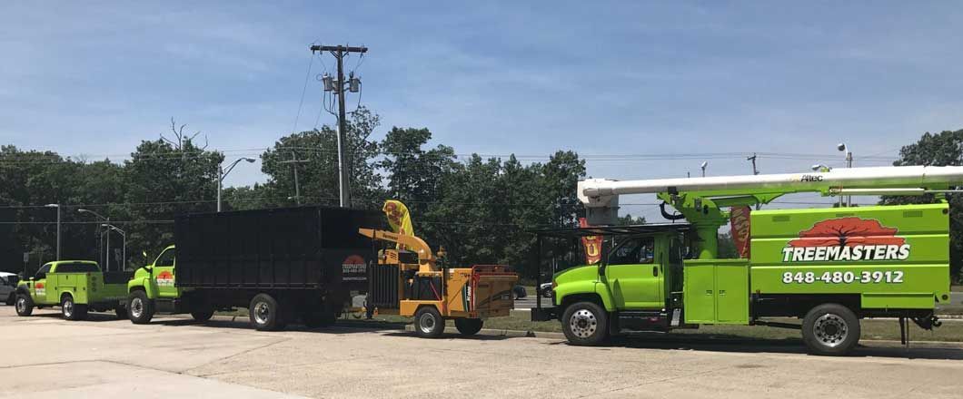 Tree Master trucks in New Jersey