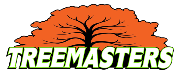 Tree Masters Logo 