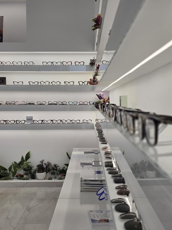 L'interno di un negozio con diversi scaffali di occhiali contro pareti bianche, con un po' di verde alla base.