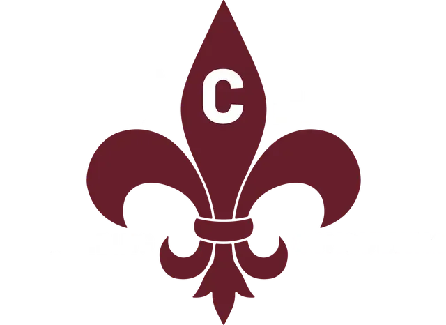 Ace Building Consulting logo