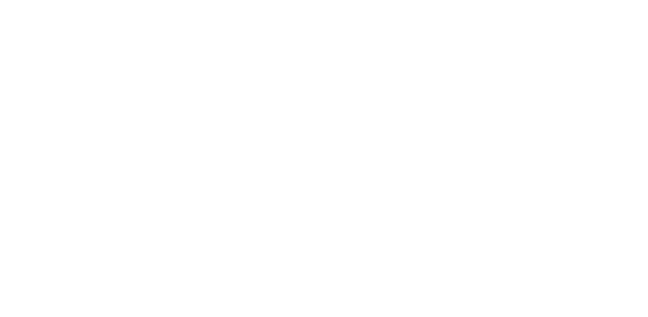 The Storey logo.