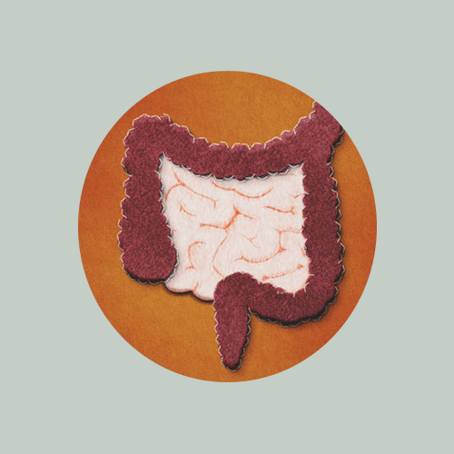 Gastroenterology — New Iberia, LA — Dr. Luis E. Alvarez, MD