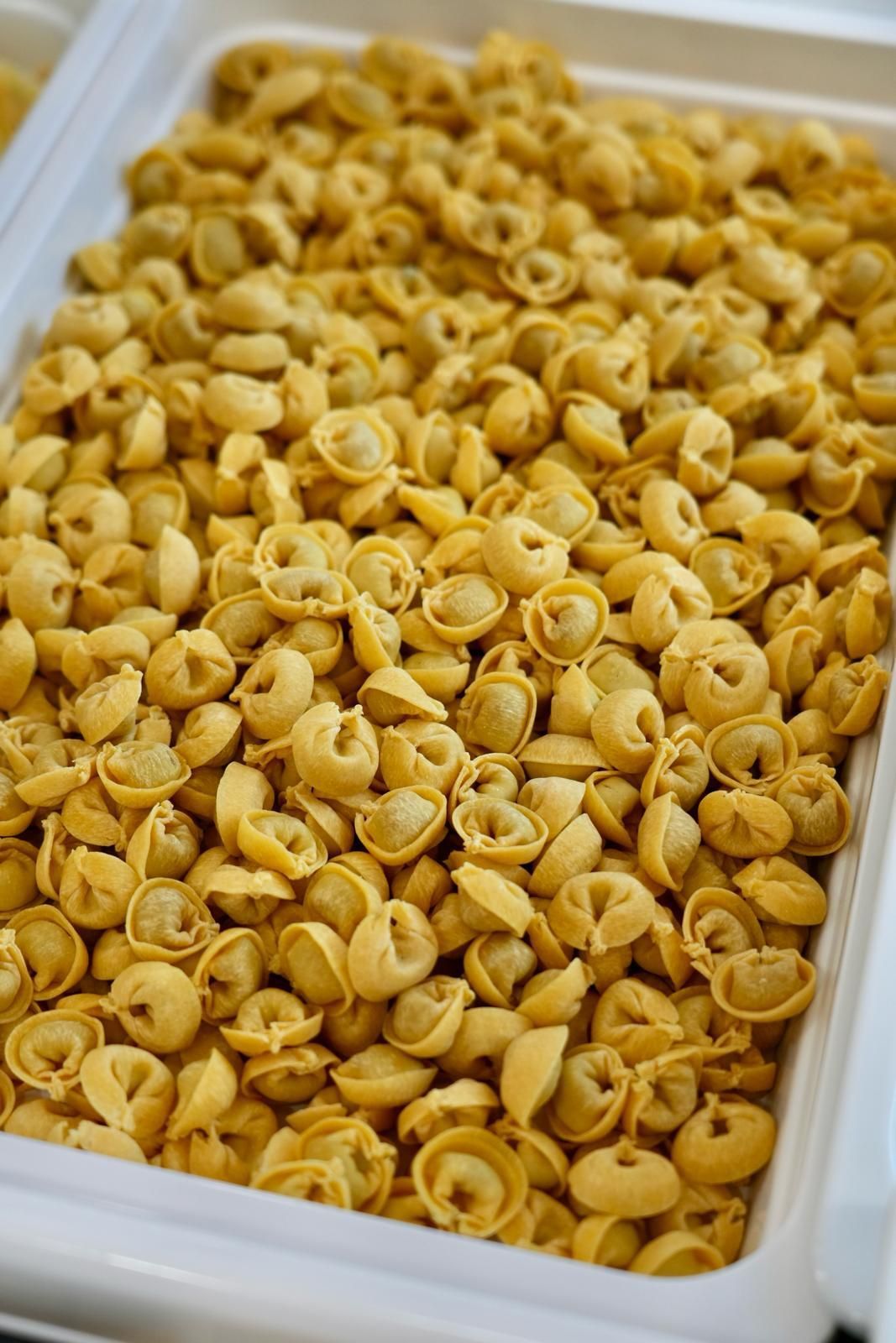 cappelletti