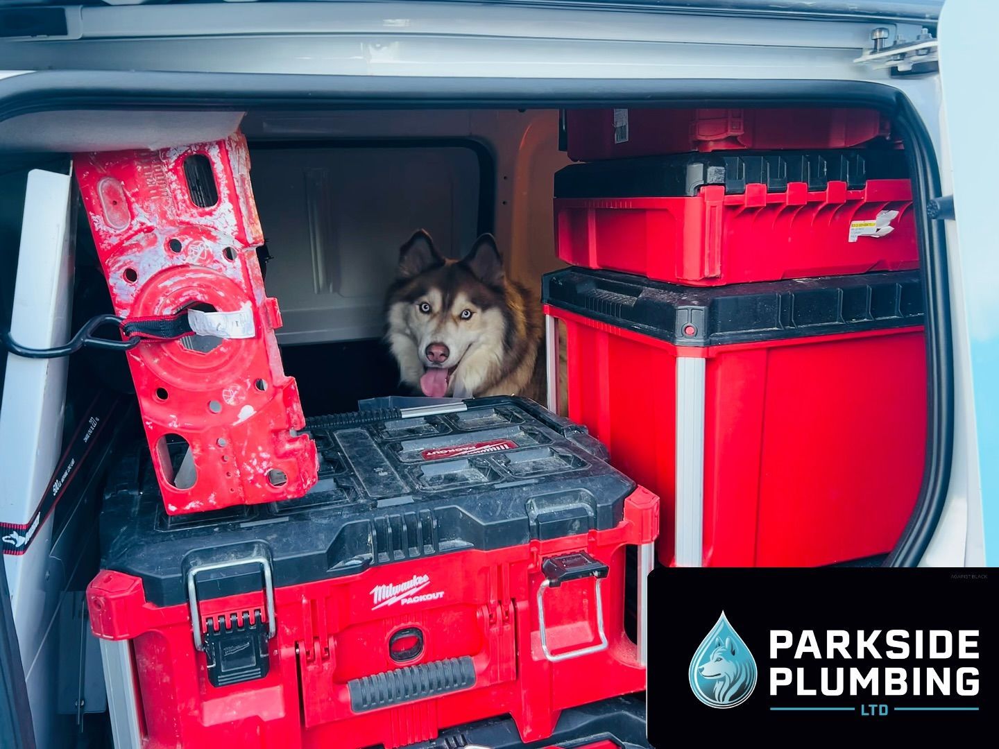 A husky dog is sitting in the back of a van.