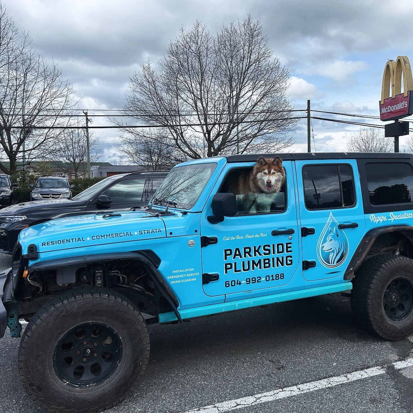 A dog is sitting in the driver 's seat of a parkside plumbing jeep.