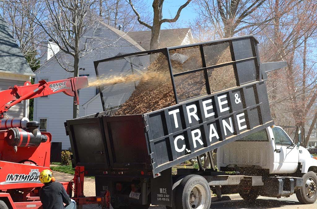 A tree crane truck is being loaded with leaves.