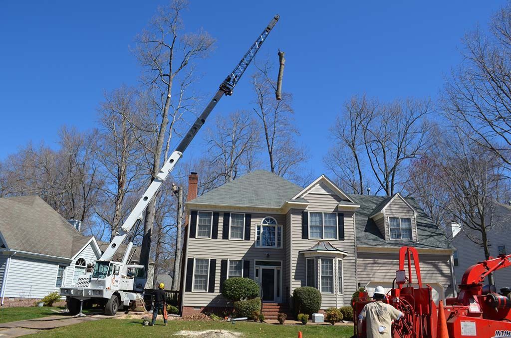 A crane is cutting a tree in front of a house.