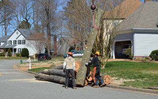 A couple of men are carrying a large log down a street.