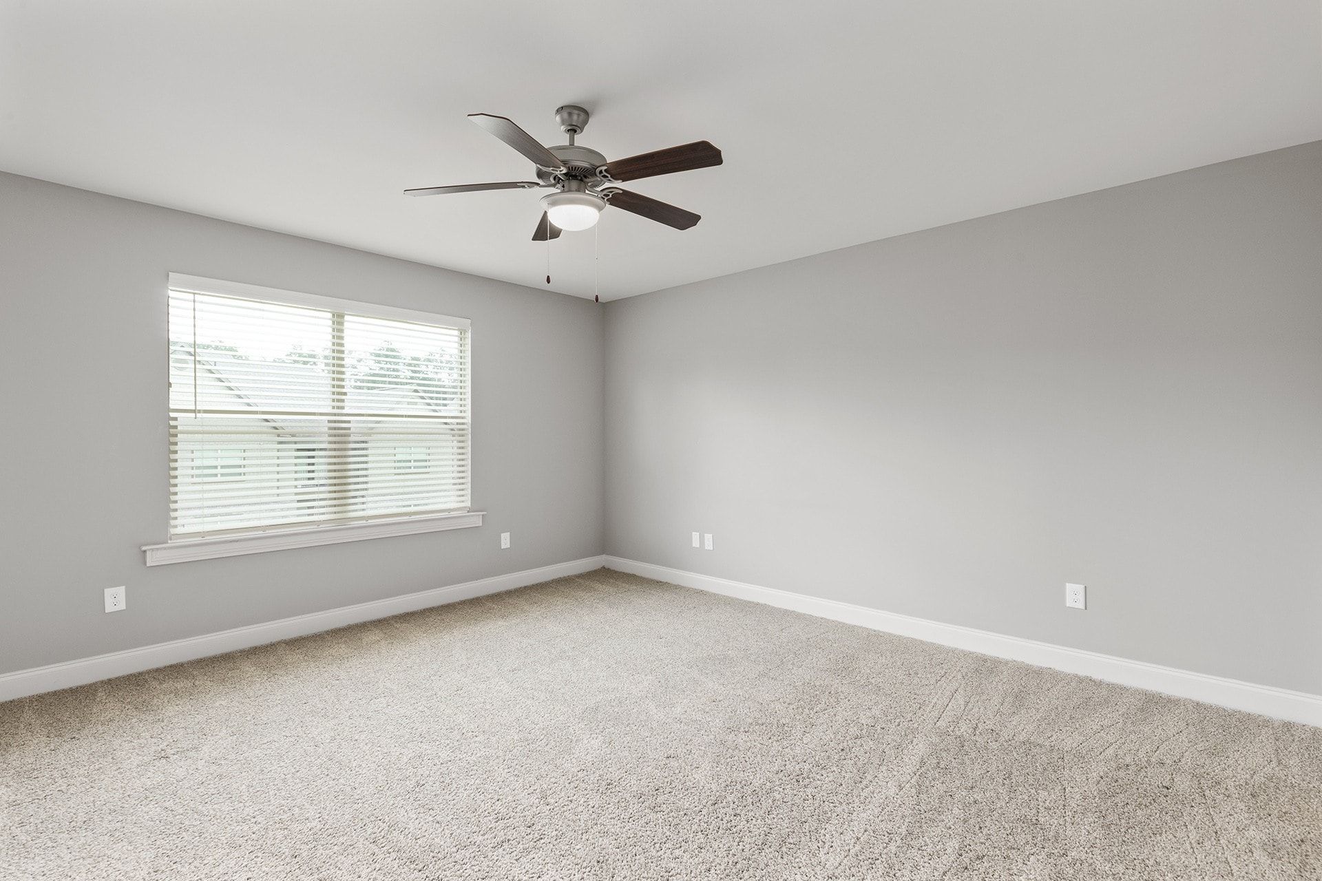 Empty gray-walled living area with a window, blinds, ceiling fan, and beige carpet.