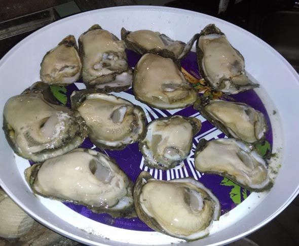 A plate of oysters on a purple and white plate