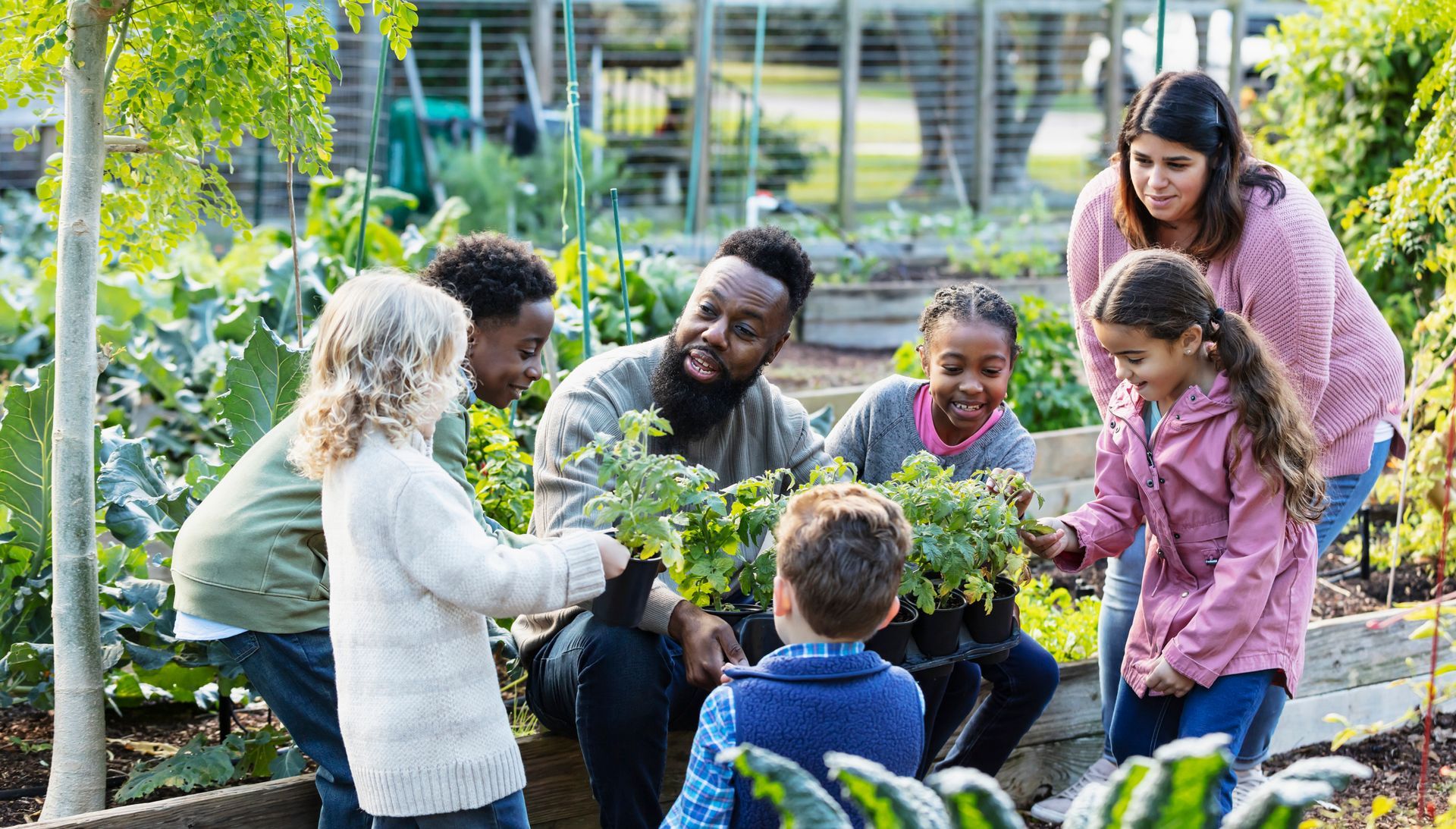 A gardener shows plants to a group of children in a sunny community garden, with a teacher assisting them.