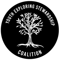 Youth Exploring Stewardship Coalition logo with white tree on black circle