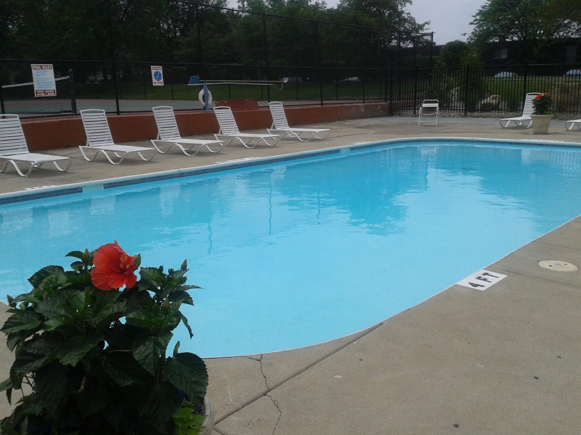 Tall Timber Apartments Outdoor community pool with blue water and white lounge chairs.