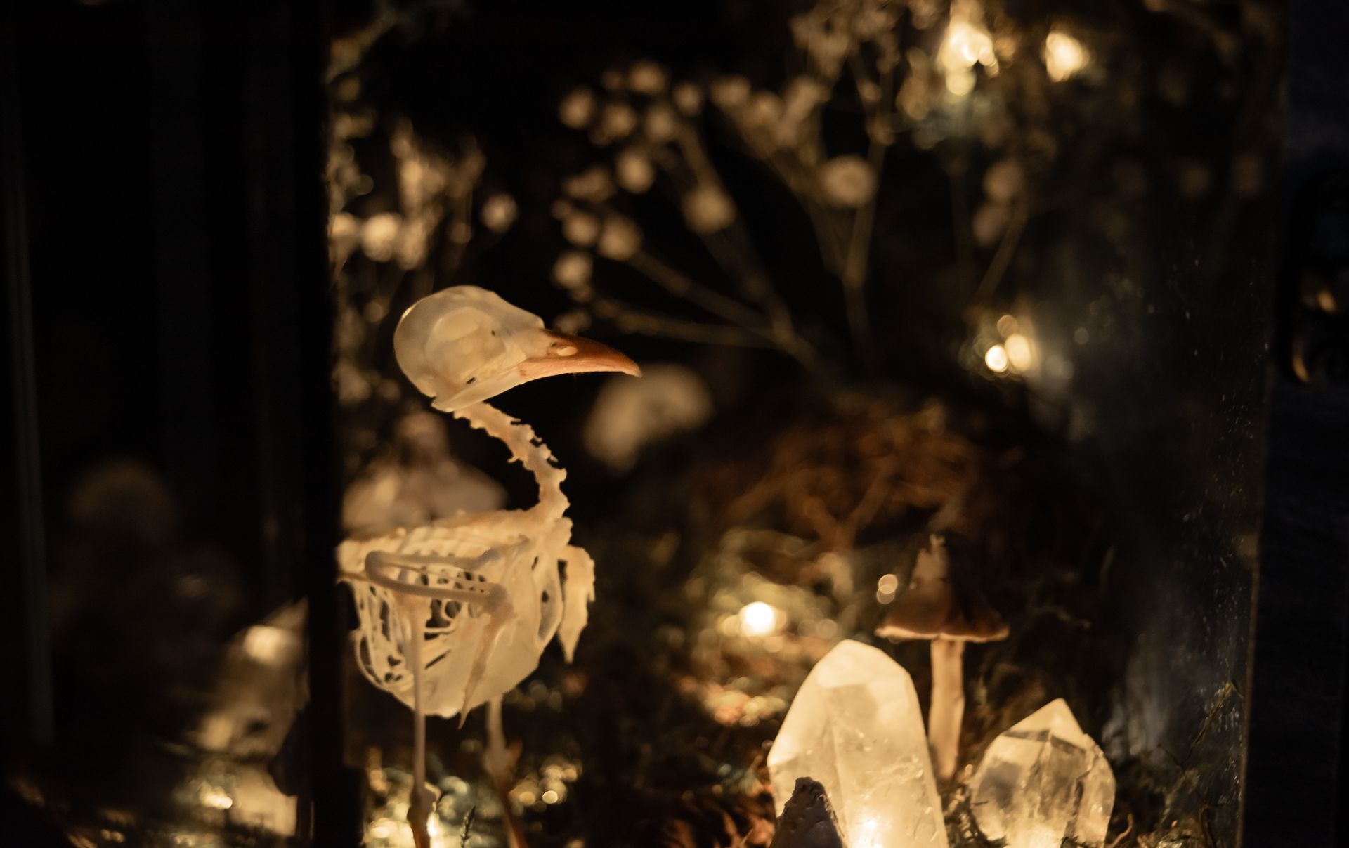 Octavius & Grimsby Online Shopping Categories