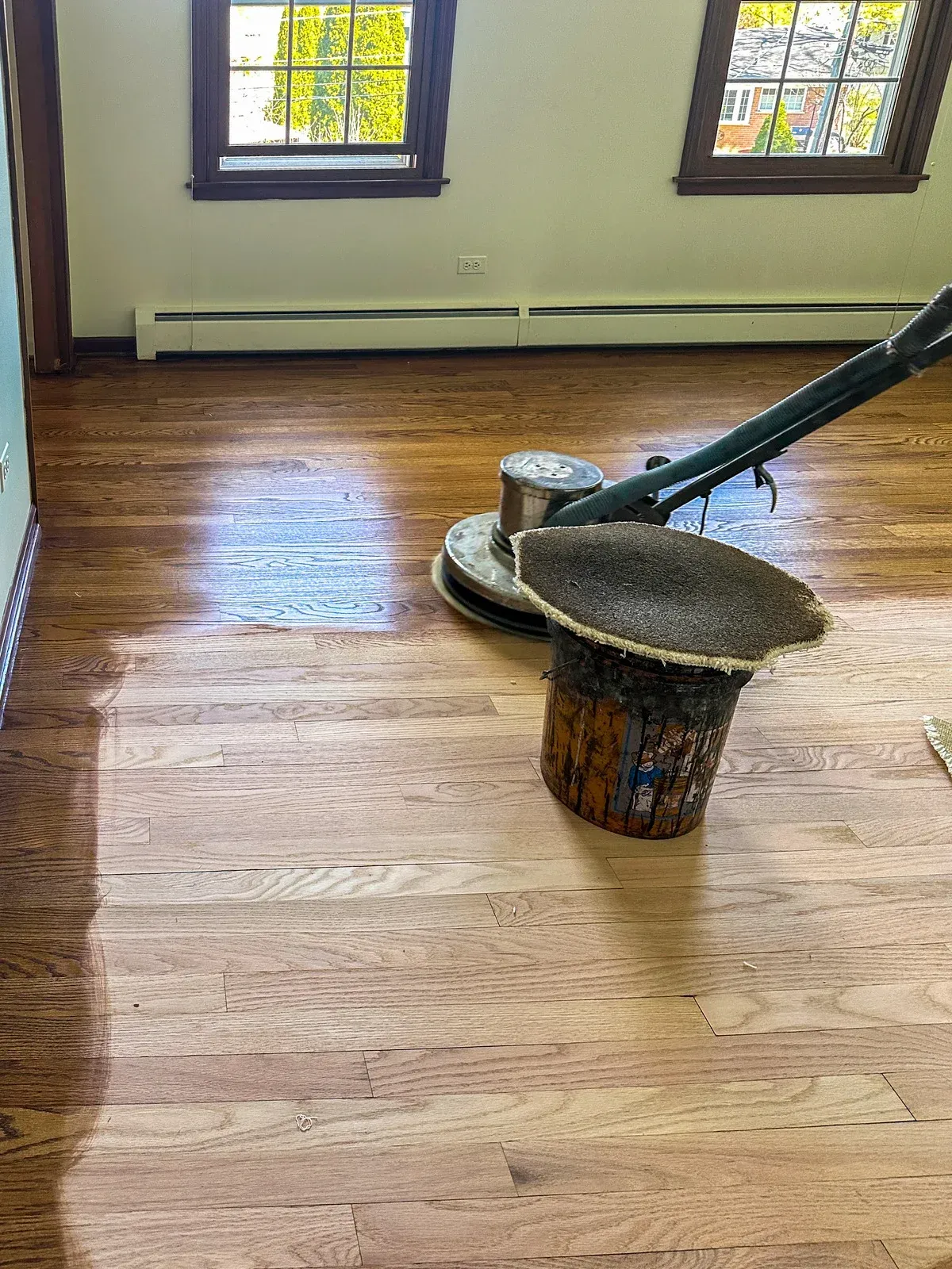 Floor sander polishing hardwood floor in a room with two windows.